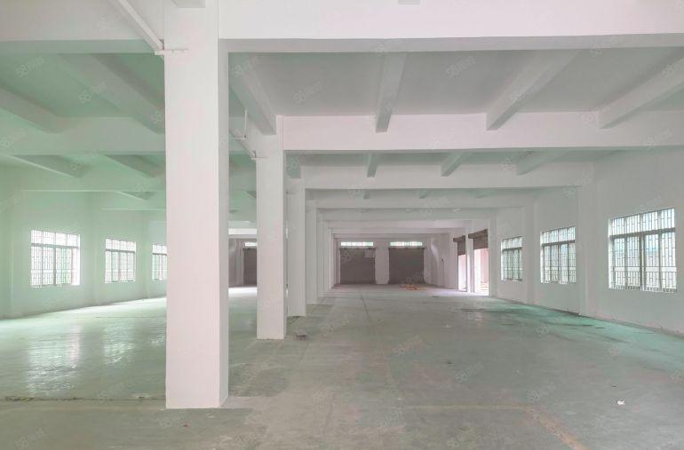 大朗镇新马莲原房东独院厂房出租，大小好分租，空地大，位置好