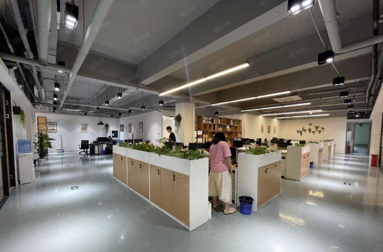 大朗新马莲2350平可分精装修低价厂房仓库无尘车间一楼上出租