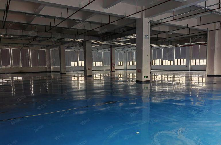 现成电子厂豪华装修厂房招租