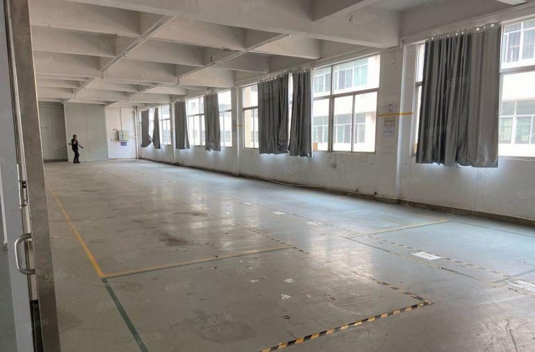 大朗象山工业园原房东厂房出租三楼1600平带装修现成办公室