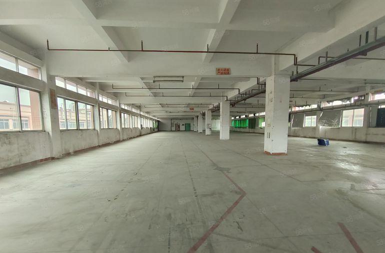 原房东独门独院厂房低价出租，空地大，货柜车进出方便，可办环评