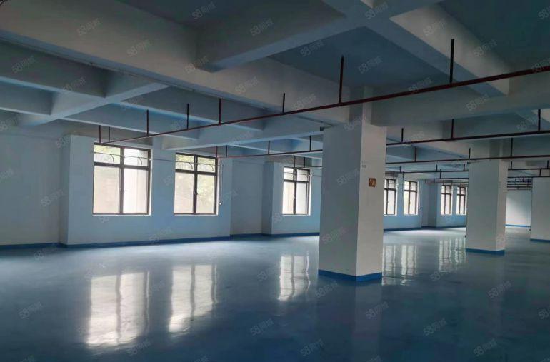 大朗长塘标准厂房出租，一楼500平，二楼800平方，租10元