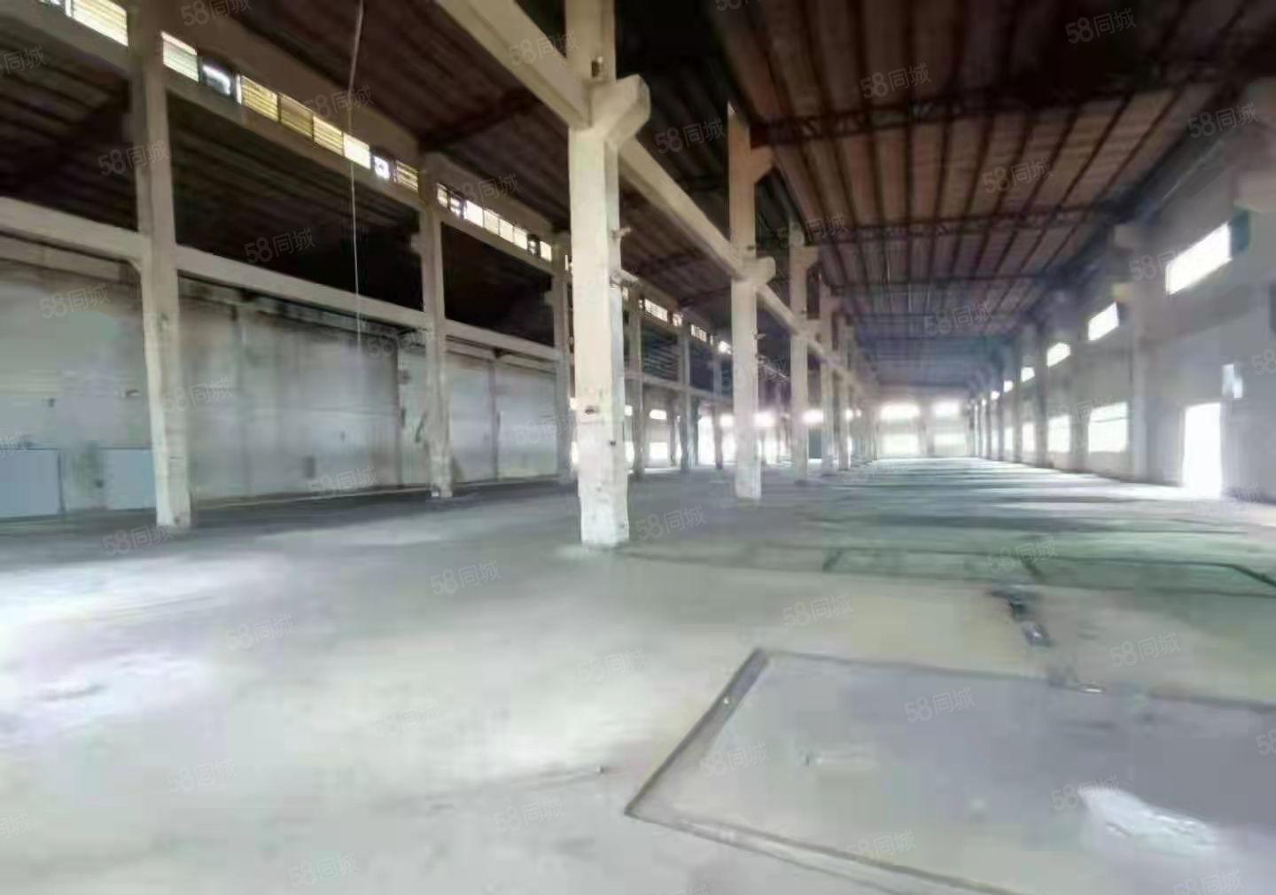 大朗洋乌原房东滴水7米无公摊1100平钢结构厂房出租，