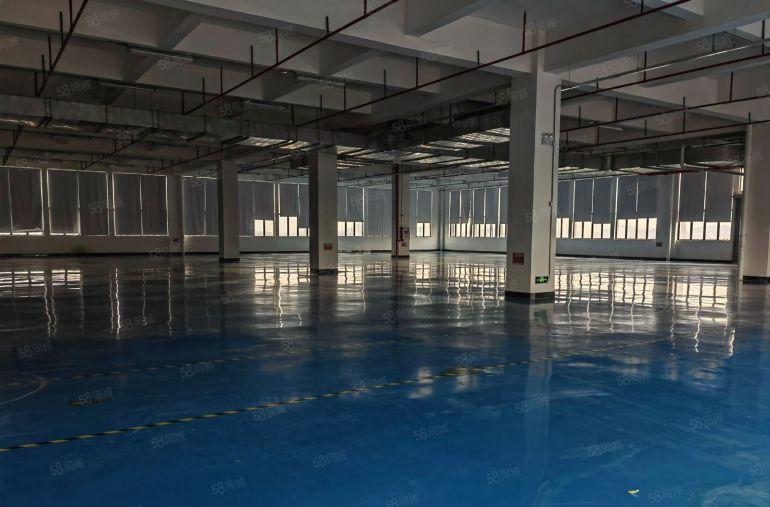 现成电子厂豪华装修厂房招租