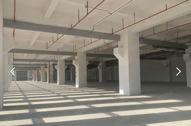 大朗富民工业城1楼2800平6米高带行车厂房仓库出租