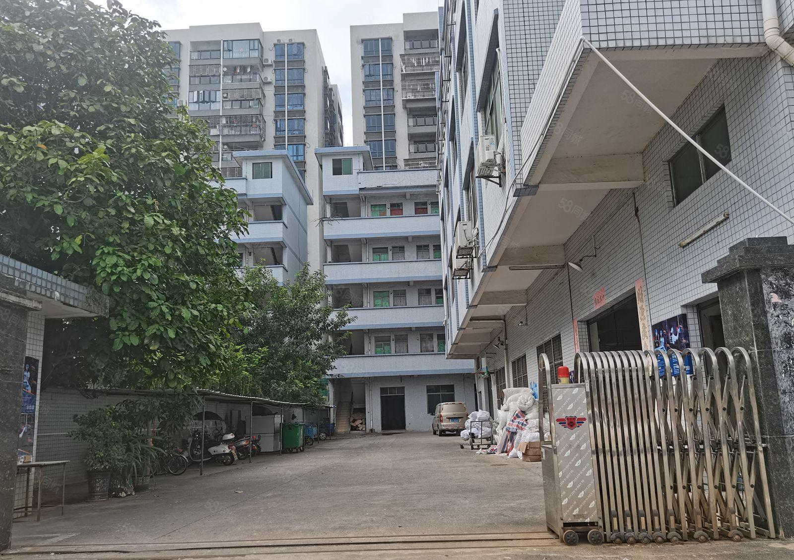 大朗村委独院，近高速，空地大，配套宿舍，层高5米，水电齐全，