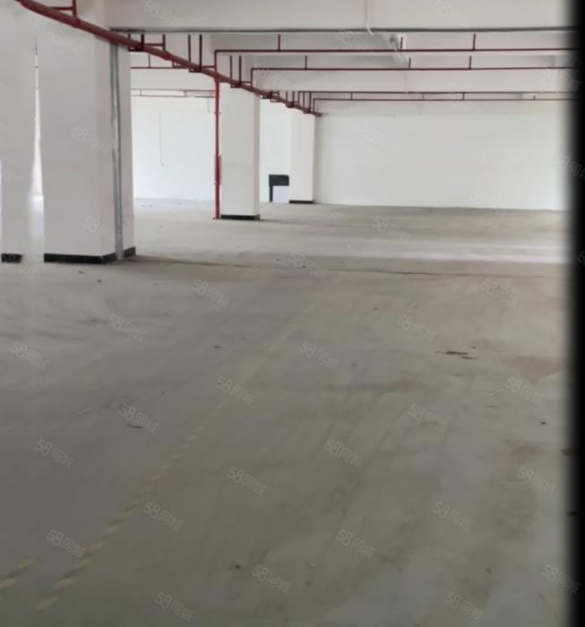 大朗靠大岭山独院二楼带办公室1000平厂房出租 现成环评