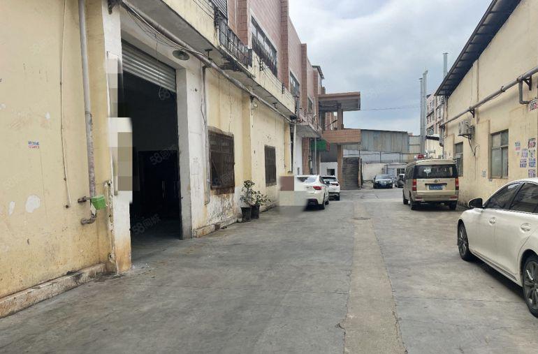 大朗新马莲高6米800平方单一层标准厂房低价出租 可办环评