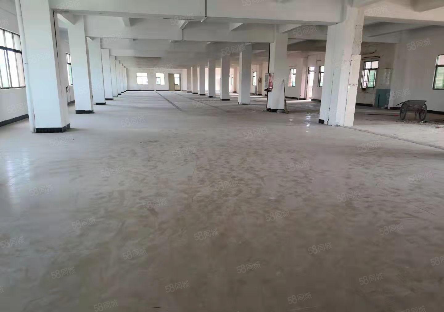 大朗业主自有厂房200平至600平招租毛织厂加工厂仓库