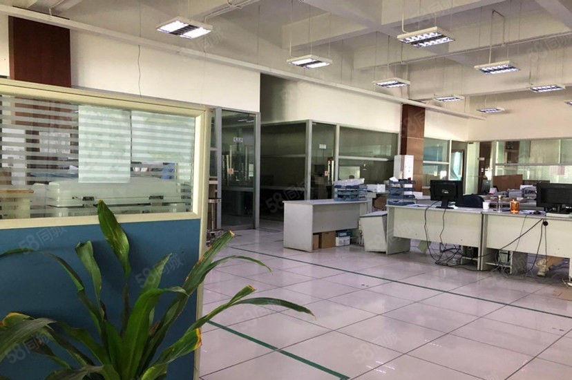 10元签合同 大朗蔡边独栋二楼600平方厂房 即租即用