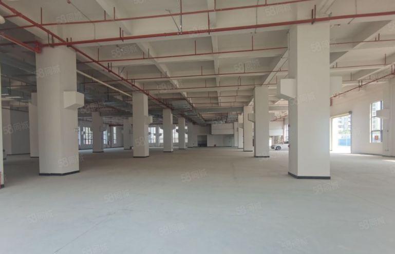 大朗镇石厦全新红本厂房出租，总面积8万平方大小可分租。