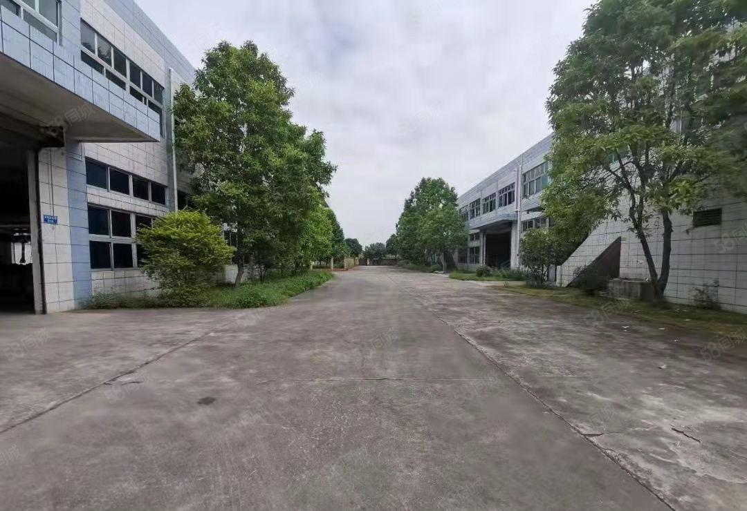 洋坑塘原房东花园式小独院8800平厂房 低价出租