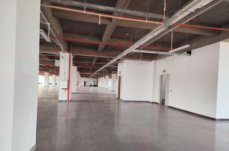 大朗竹山现成1700平装修厂房出租，领包入住，适合电商贸易