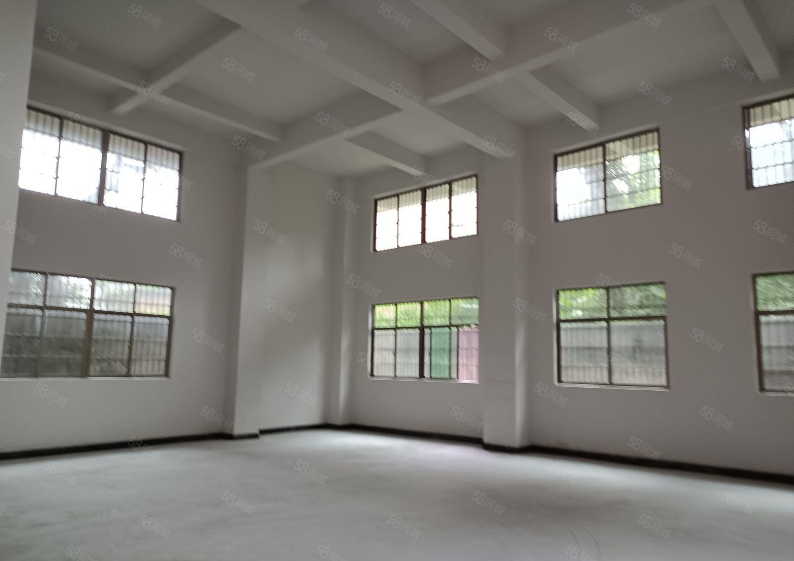 原房东个人厂房直租首层7米高