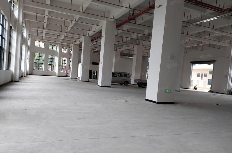 只要10块钱！大朗镇工业聚集地全新重工业厂房2000平方