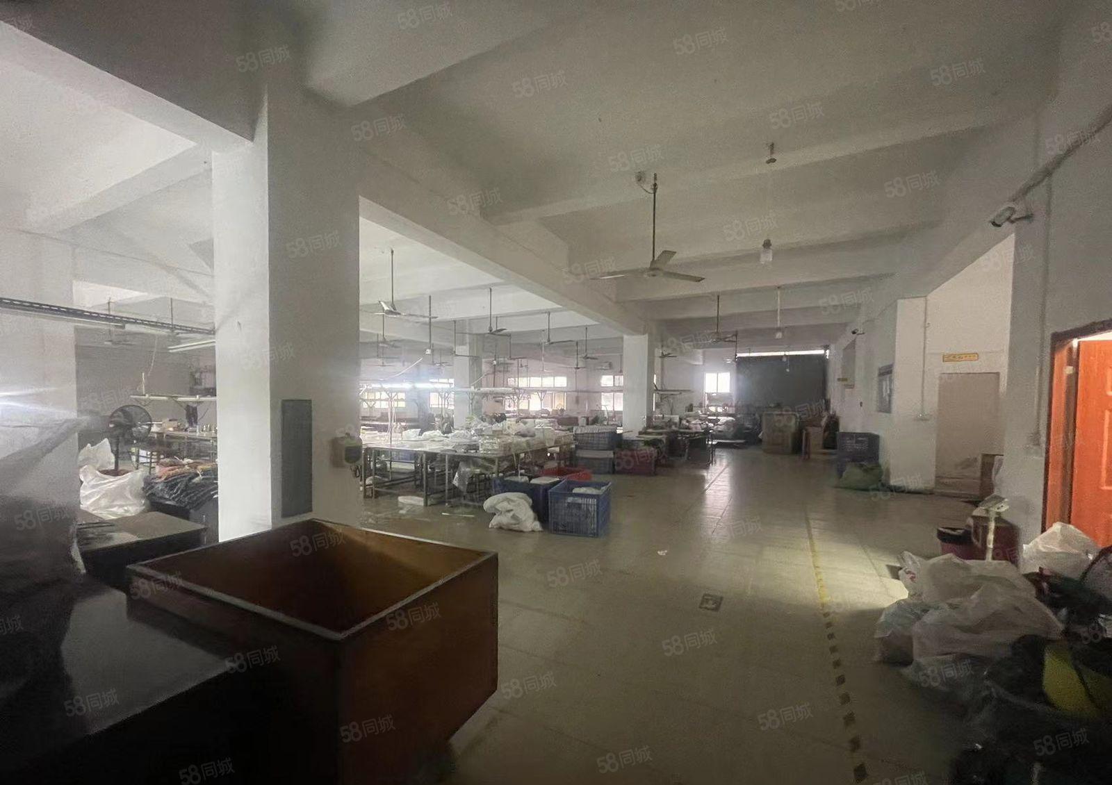 大朗新出独院二楼1800平高5米厂房出租可办环评现成办公室