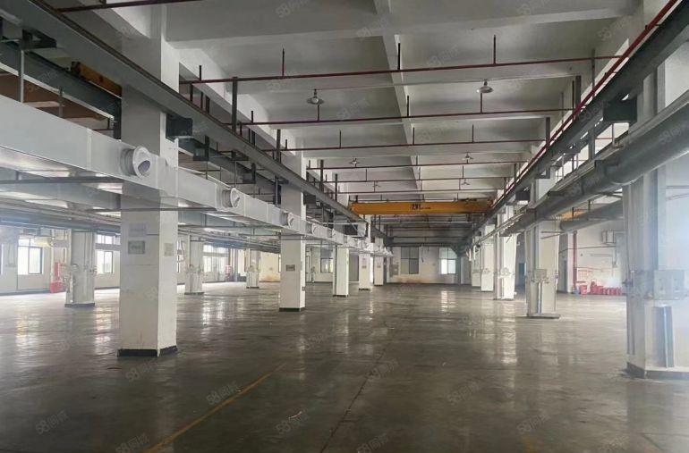 大朗镇大井头一楼6米高厂房4000平低价厂房出租