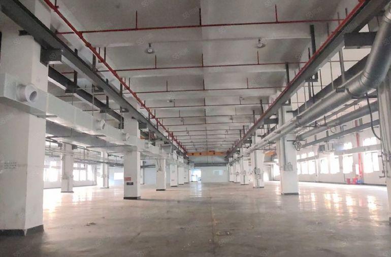 大朗镇大井头一楼6米高厂房4000平低价厂房出租