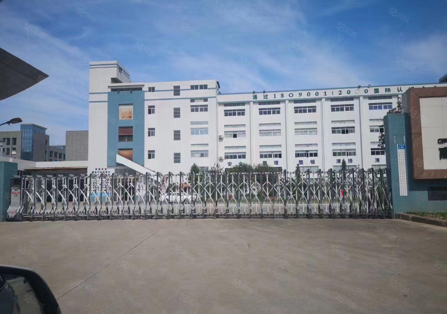 大朗镇一楼厂房招租2300平方高度6米