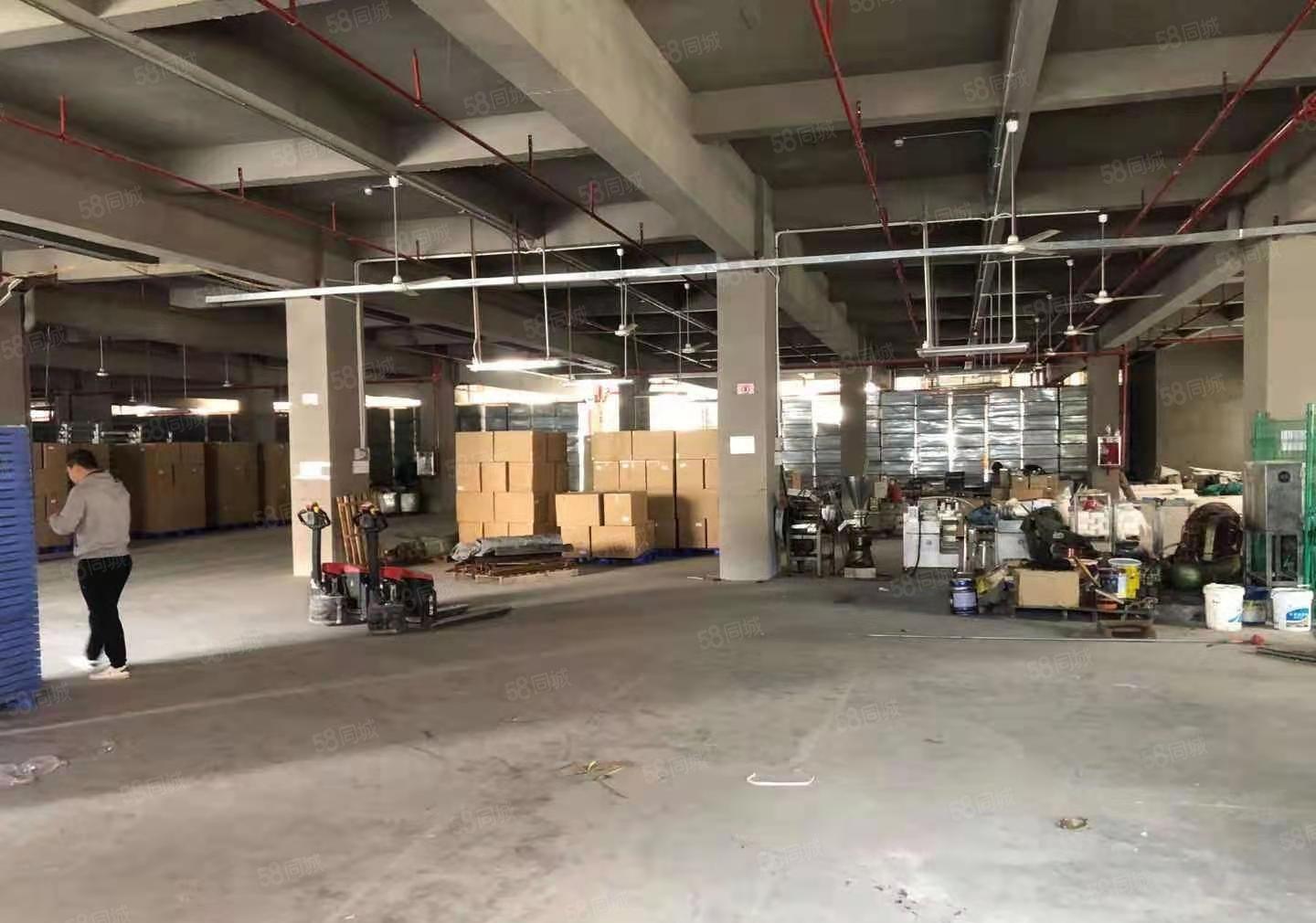 大朗，玻璃外墙！5万平方，原房东，暗盘委托。