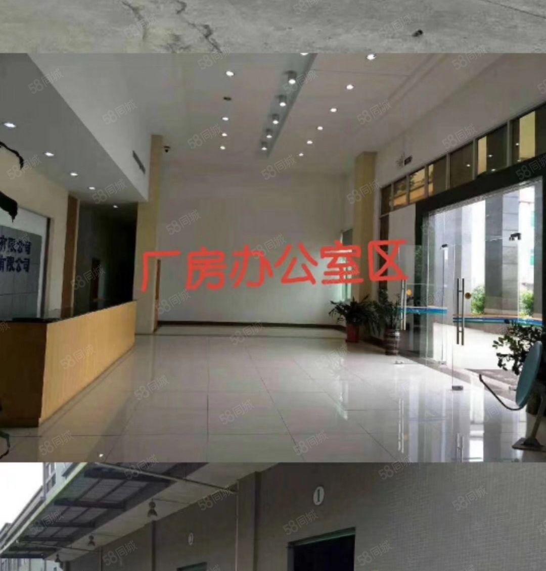 大朗象山工业城厂房出租8000平独门独院厂房12层带装修