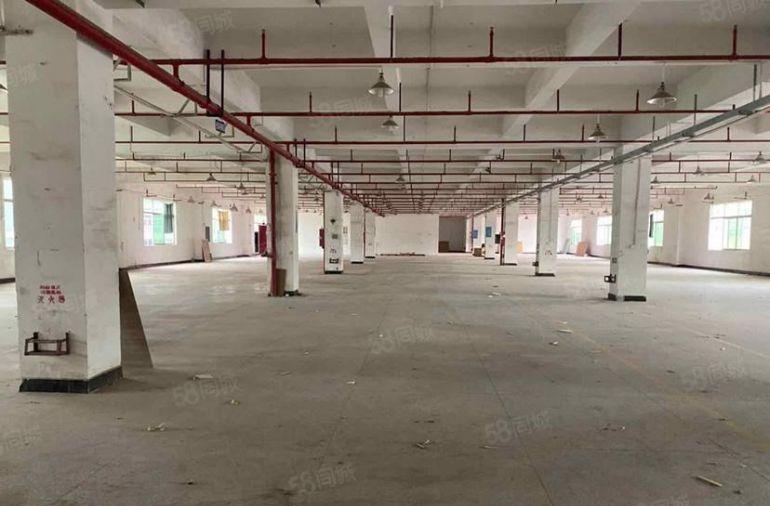 大朗镇新出独院标准厂房8000平米