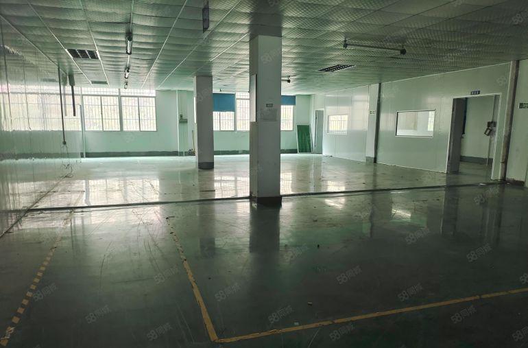 大朗精装1400平标准厂房出租 现成办公室车间 园区停车免费