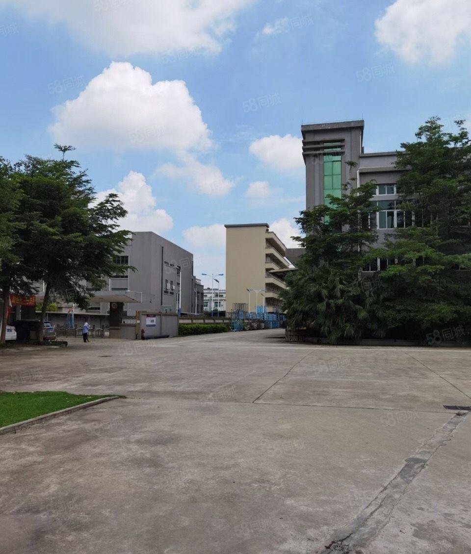 大朗新出花园式国有双证厂房带消防喷淋形象高大上带卸货平台！