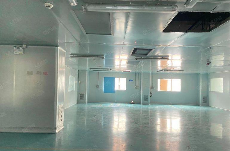 大朗镇原房东独院标准厂房总面积9800平米带豪华精装修办公室