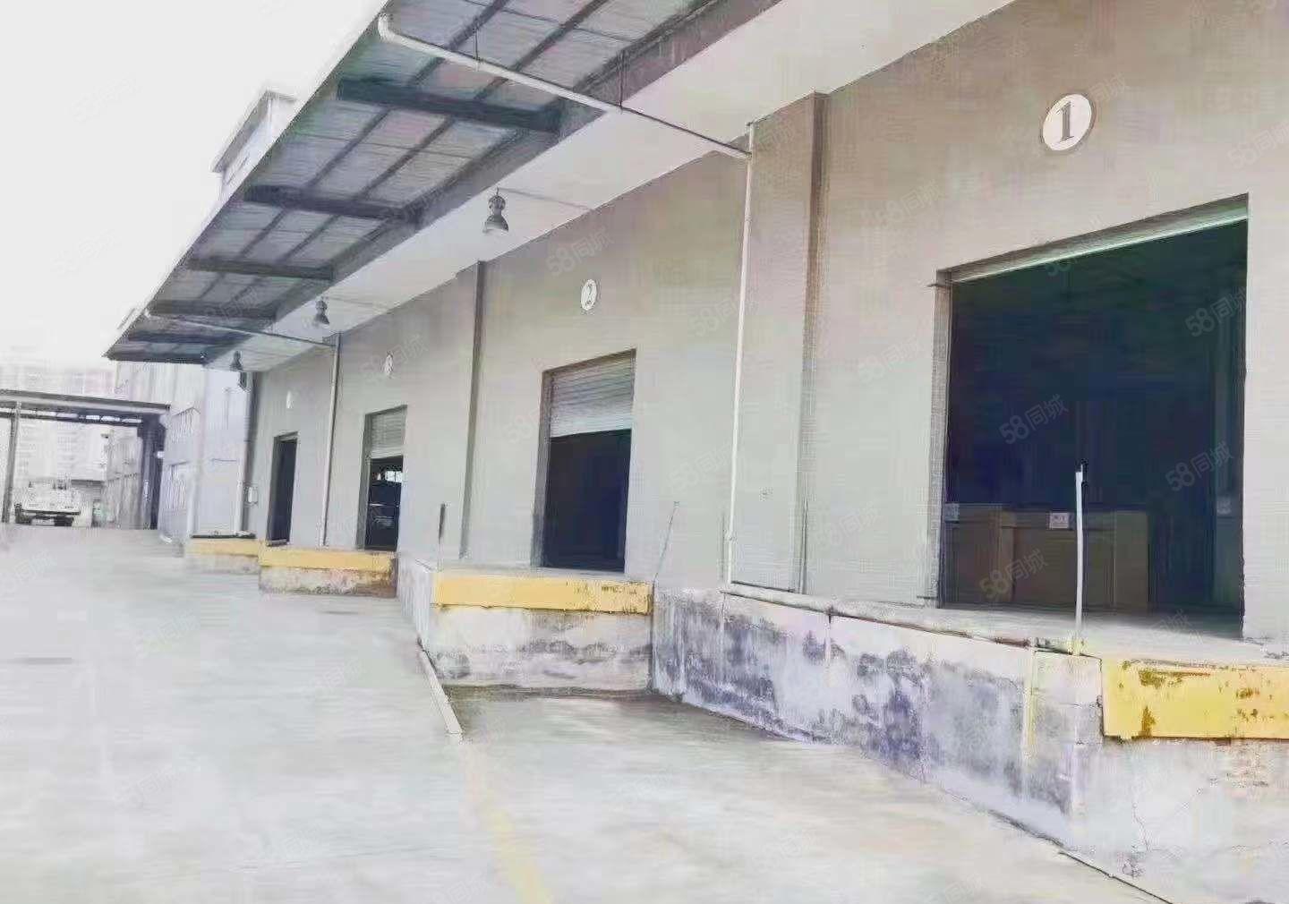 大朗厂房新出标准厂房13000平方空地大厂房出租可分租
