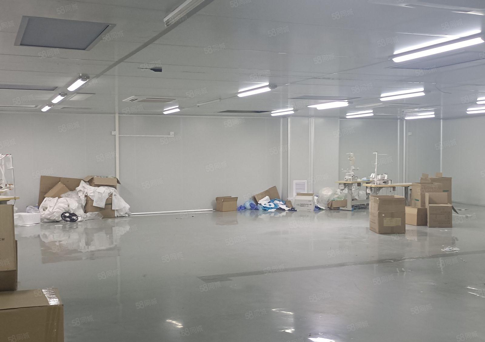 大朗镇新出无尘车间1800平