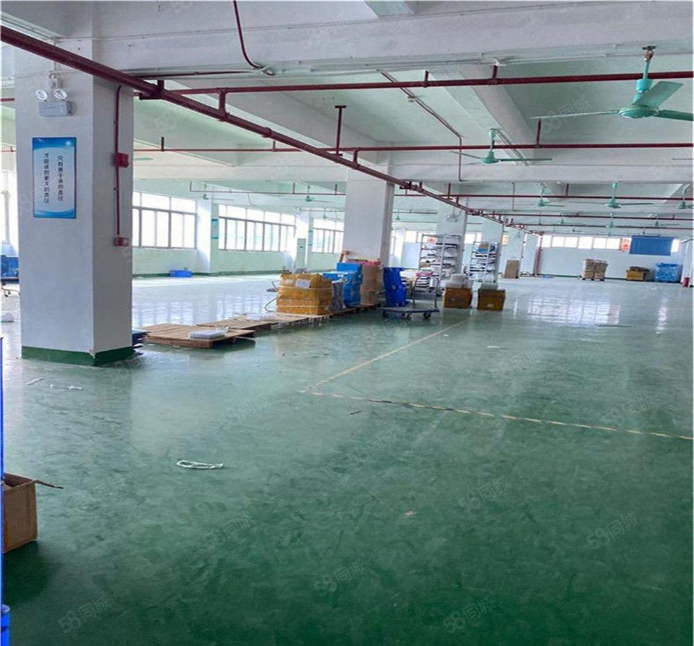 大朗2楼原房东厂房出租1800方，现成装修带地坪漆，消防合格