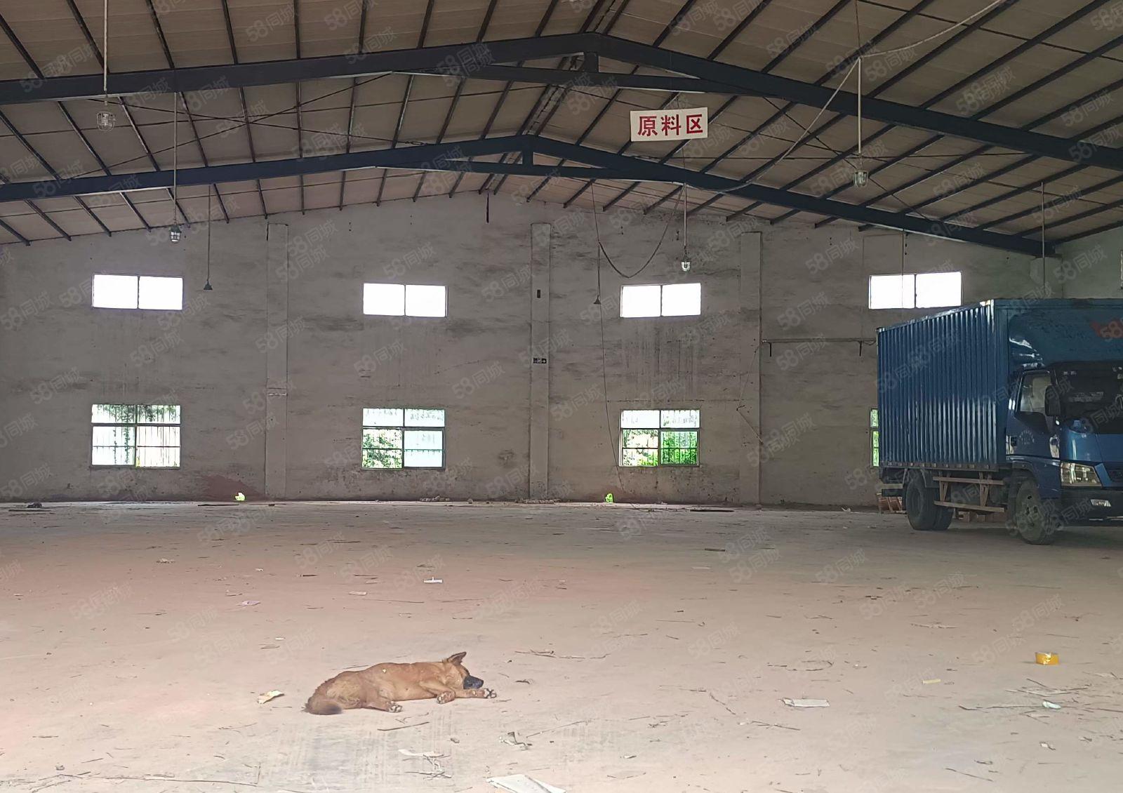 大朗原房东小独院厂房出租单一层厂房1200平，宿舍300平