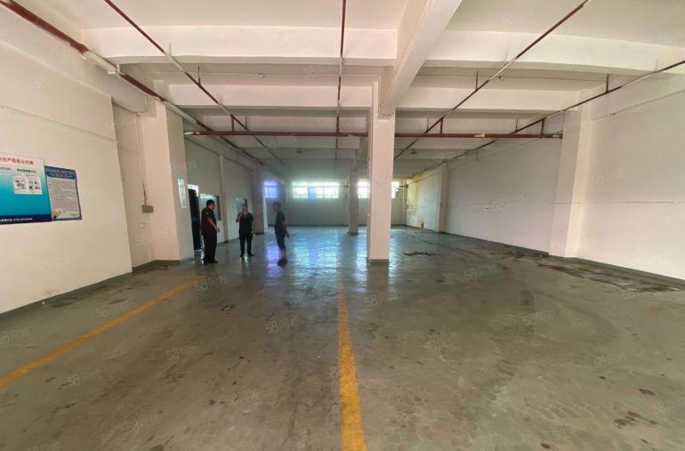 大朗镇湿地公园旁新出一楼厂房850平带装修可办环评