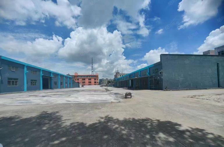 大朗镇仓库厂房出租工业厂房出租钢结构6900方单一层独院个人