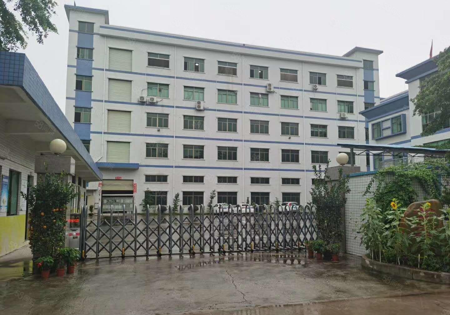 年底清盘 大朗黎贝岭新出二楼600平方厂房仅租9元