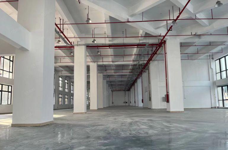 大朗靠近高速路口新出全新原房东厂房招租一楼8米高，特价出租！