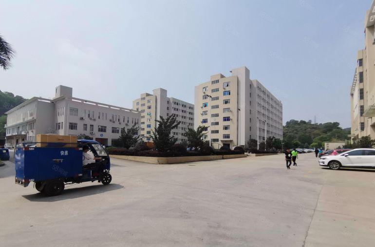 500起租大朗体育馆3万m园区厂房仓库出租一楼17二楼9元