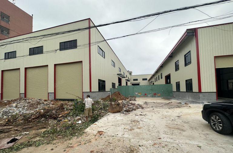 大朗高速口附近3000平米全新独院钢构厂房出租滴水9米