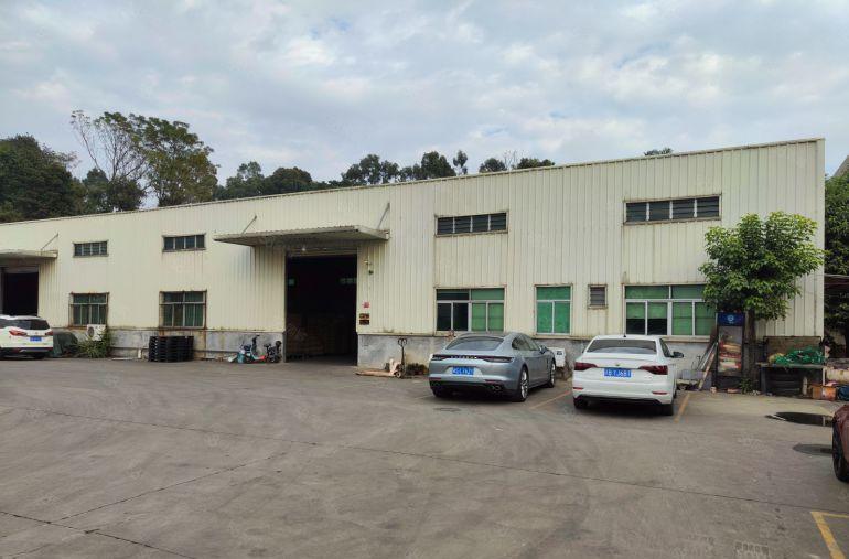 大朗钢构1200平原房东，价格便宜，空地很大，好进大车