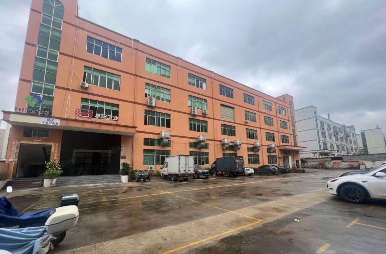 大朗独门独院精装3000平原房东无公摊厂房办公电商仓库出租