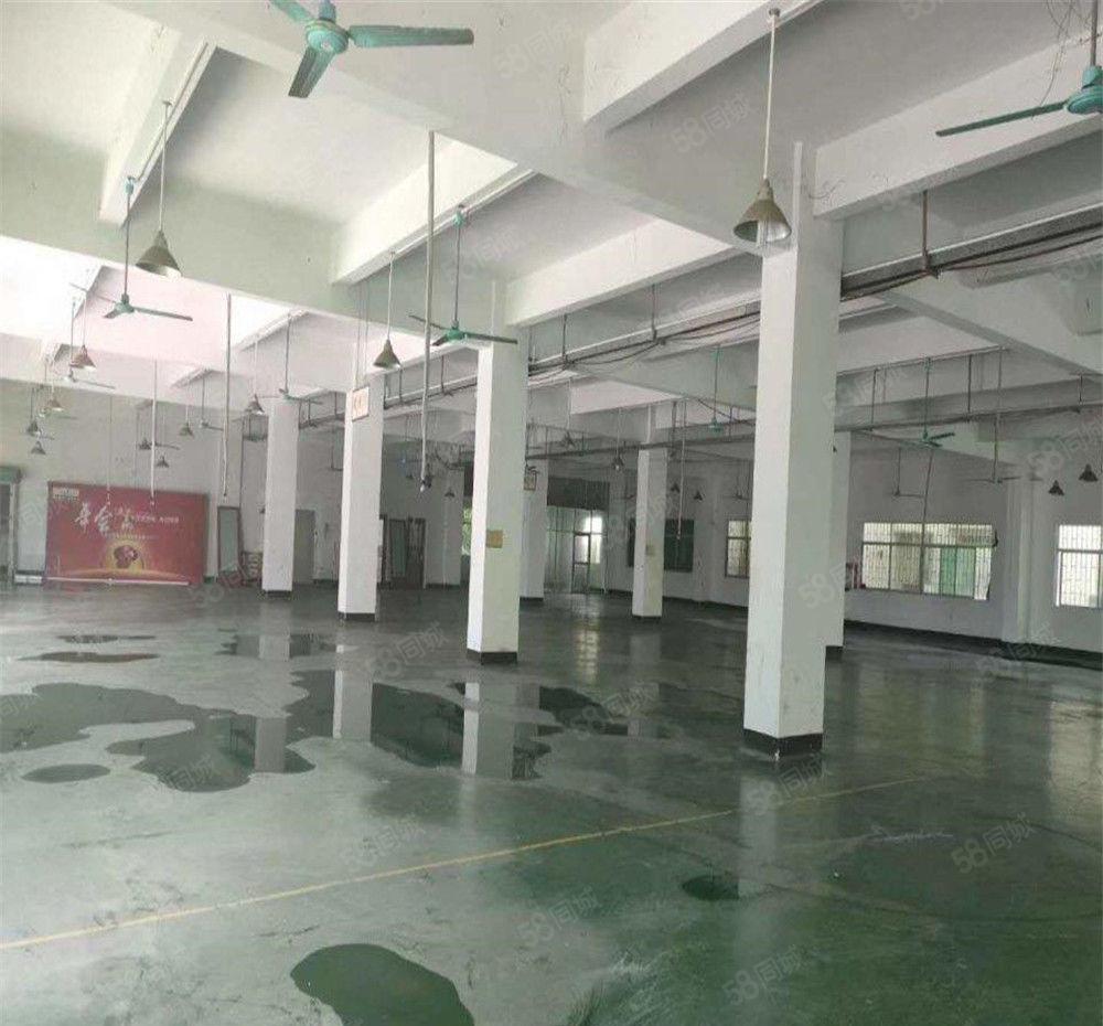 大朗工业园区仓库厂房出租2楼2100方，外观形象佳，交通便利