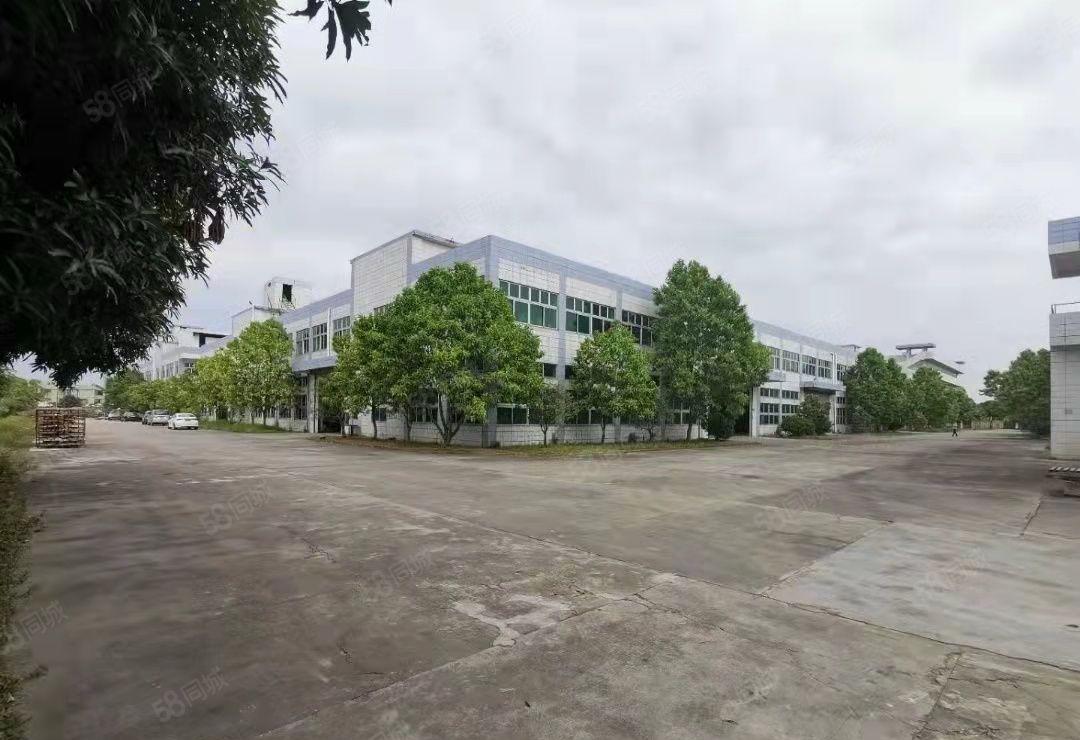 洋坑塘原房东花园式小独院8800平厂房 低价出租