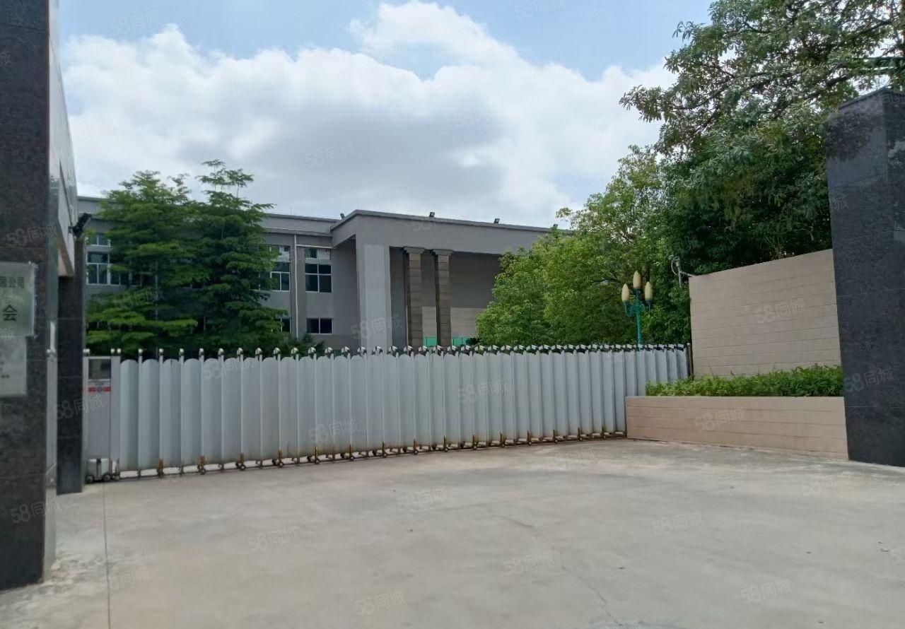 大朗镇新出花园式独院二层厂房13000平方宿舍2千空地3千平