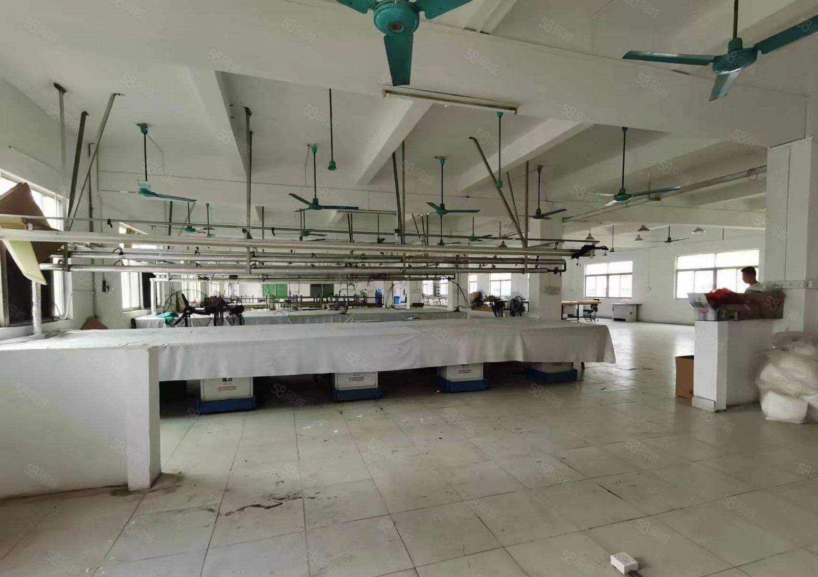 出租|大朗新出工业园区楼上1500平带豪华精装办公室厂房出租