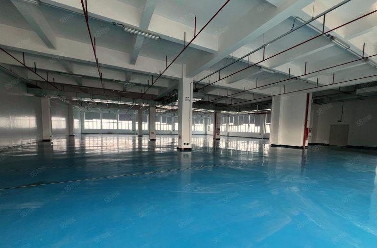 大朗富民工业区重工业厂房楼上1200平米精装修厂房低价出租