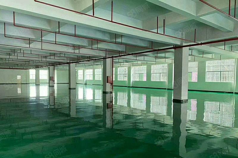 年底清盘 大朗黎贝岭新出二楼600平方厂房仅租9元