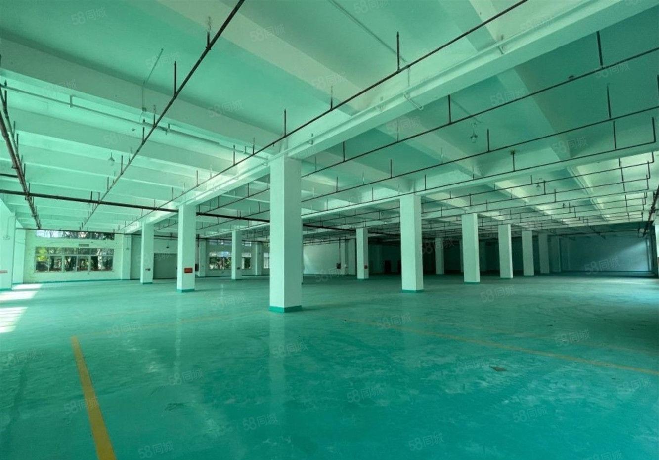 大朗仓库厂房出租2600方，高6米，工业用地不限行业交通便利