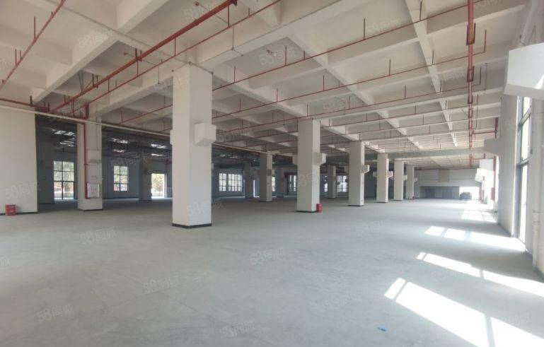 大朗镇石厦全新红本厂房出租，总面积8万平方大小可分租。