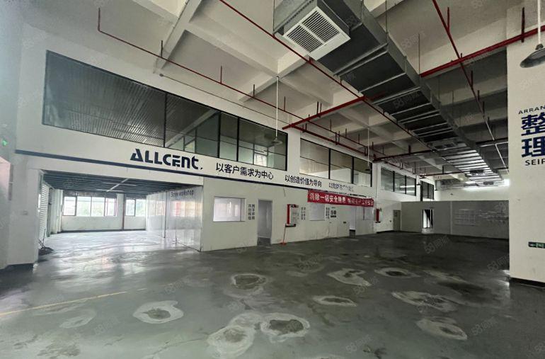 大朗镇新出工业园一楼2000平带豪华精装办公室厂房出租